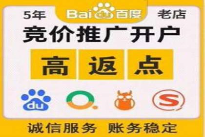 百度推广实战：成功企业的营销策略